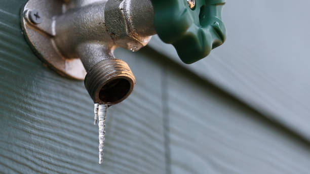 Best Plumbing Inspection Services  in New London, MN